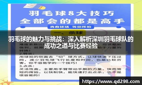 羽毛球的魅力与挑战：深入解析深圳羽毛球队的成功之道与比赛经验